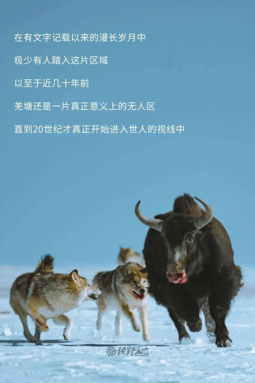 11月活动｜走，我们去无人区野餐去❗_7_食野山桌_来自小红书网页版